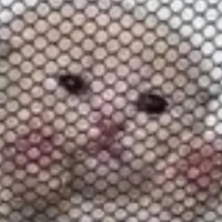 Репетитор - Нина Т. id:146